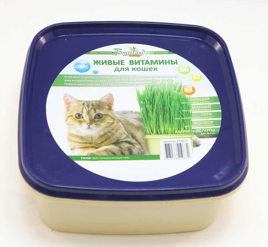 трава для кошек