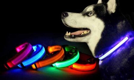 Ошейник для собак с подсветкой (от батарейки)