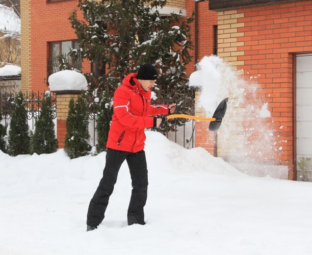  лопату для уборки снега Торнадика в интернет магазине