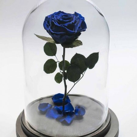 Вечная роза в колбе Синяя Премиум